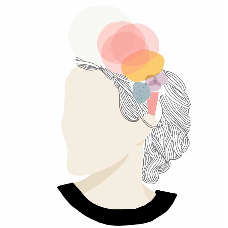 Trabajos de ilustración Jolylustra